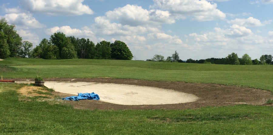 TO2015 Cross Country